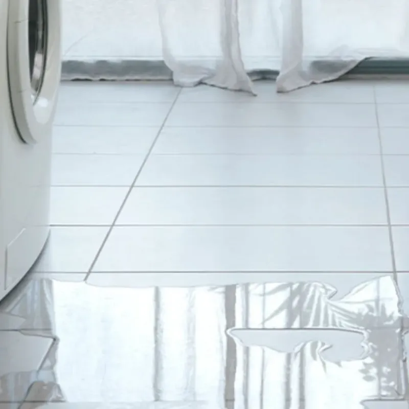 Appliance Leak Cleanup in Aventura, FL
